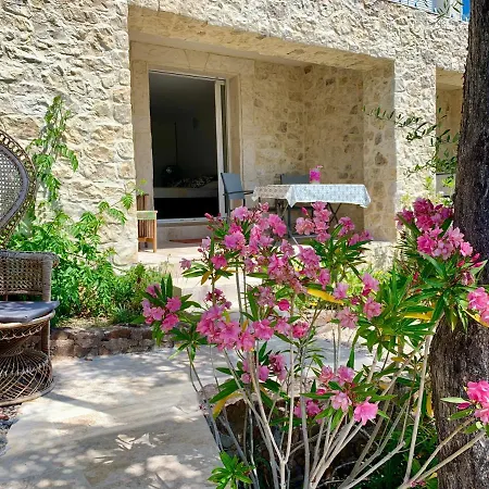 그랜드 바이에 * Saint-Raphaël