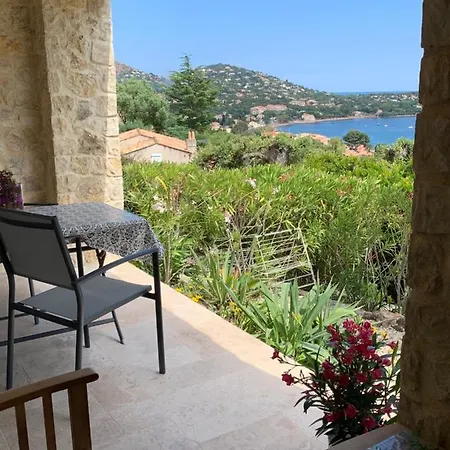 公寓 大湾别墅 *