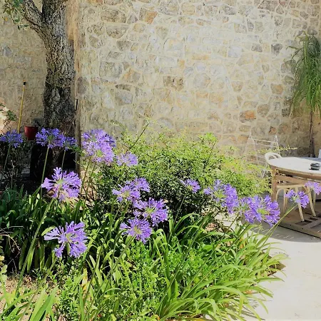 大湾别墅 Saint-Raphaël