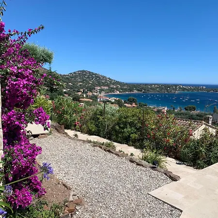 Grand Baie Appartement