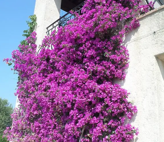 Grand Baie شقة Saint-Raphaël